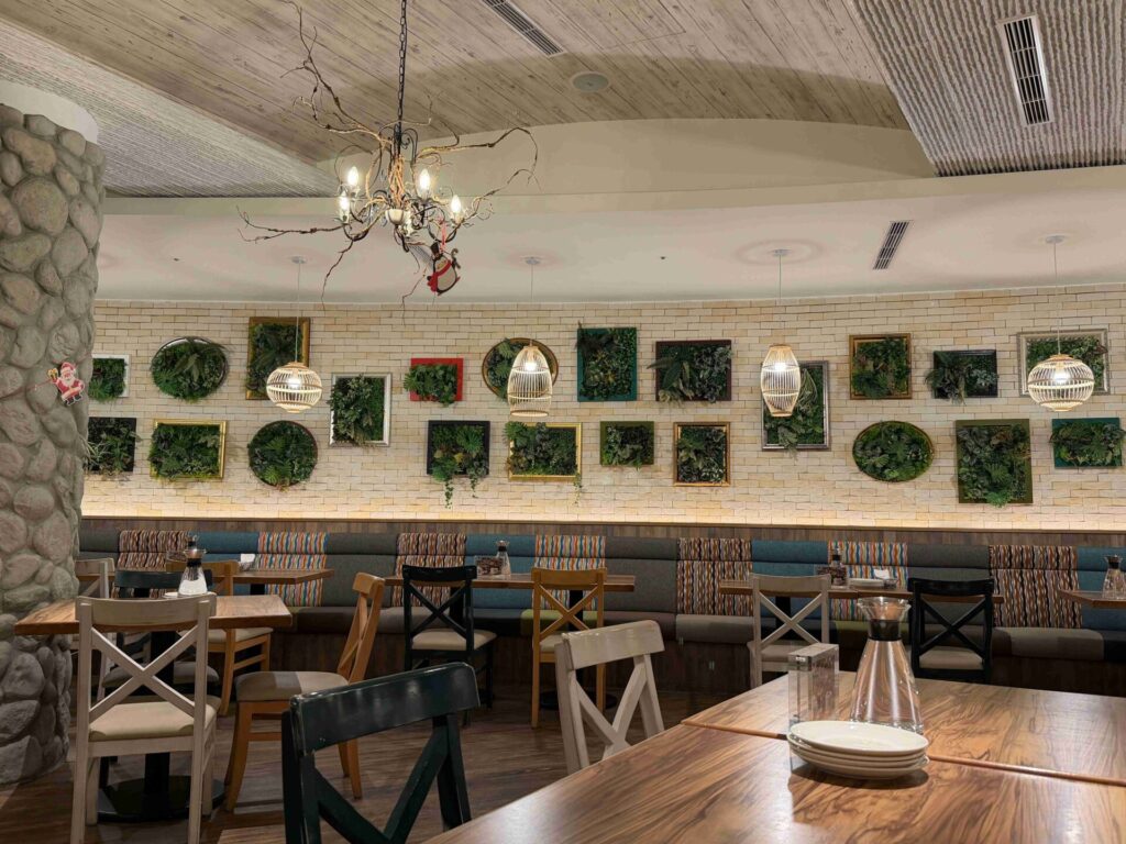 MOLINO 台中
草悟廣場店｜座位超多、寵物友善，沙拉主餐甜點都好吃，飲料超大杯！