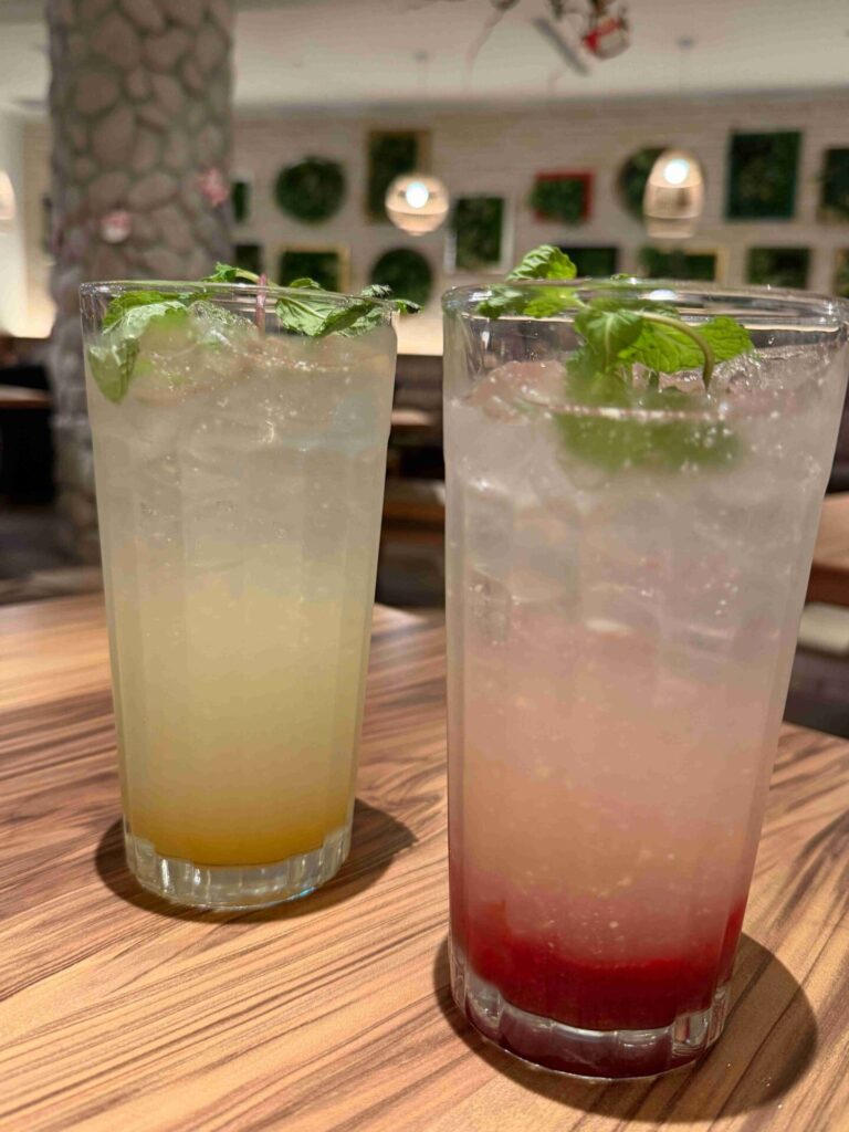 MOLINO 台中
草悟廣場店｜座位超多、寵物友善，沙拉主餐甜點都好吃，飲料超大杯！