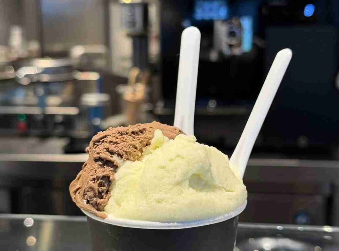 台中┃Frigomio Gelateria ：目前吃到最喜歡的雪酪，口感超級滑順，而且口味選擇超級多！